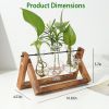 mothers day gifts-Desktop Glass Planter Bulb Plant Terrarium with Wooden Stand