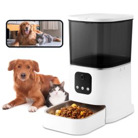 Pet Feeder (Option: black-4)